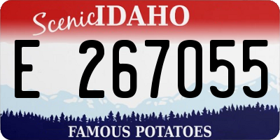 ID license plate E267055