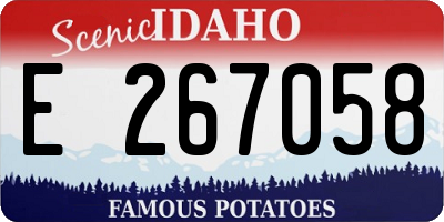 ID license plate E267058