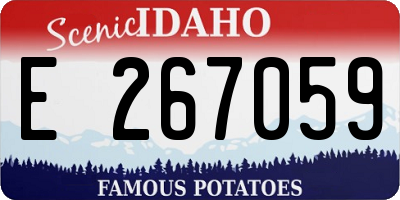 ID license plate E267059
