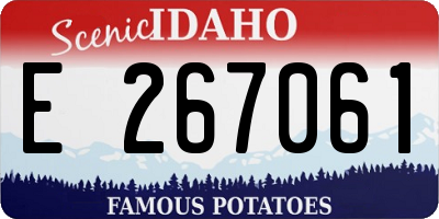 ID license plate E267061