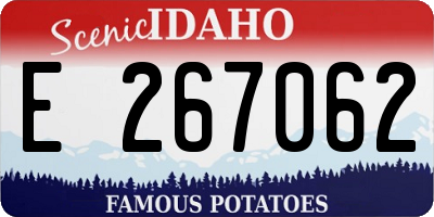 ID license plate E267062