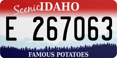 ID license plate E267063