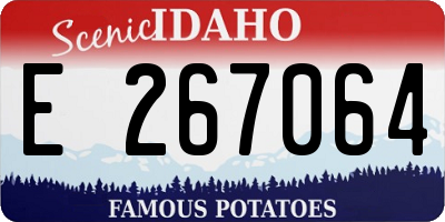 ID license plate E267064