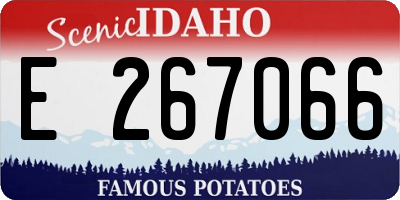 ID license plate E267066