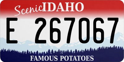 ID license plate E267067
