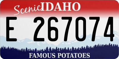 ID license plate E267074