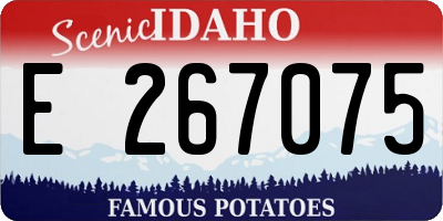 ID license plate E267075