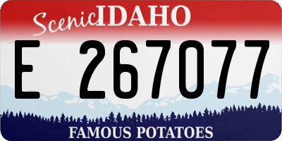 ID license plate E267077