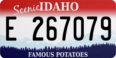 ID license plate E267079