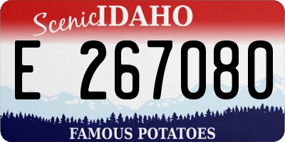 ID license plate E267080