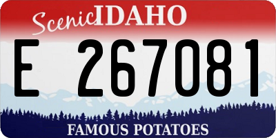 ID license plate E267081