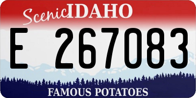 ID license plate E267083