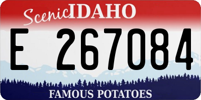 ID license plate E267084
