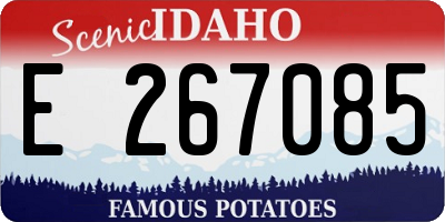 ID license plate E267085