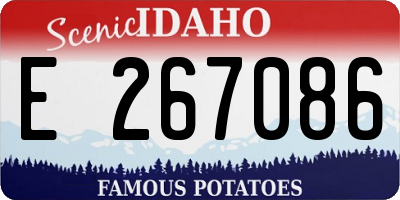 ID license plate E267086