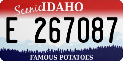 ID license plate E267087