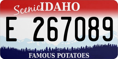 ID license plate E267089
