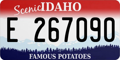 ID license plate E267090