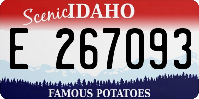 ID license plate E267093