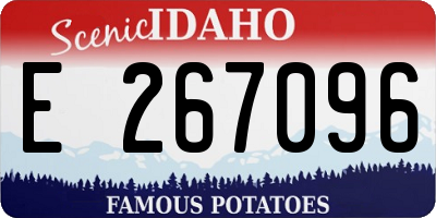 ID license plate E267096