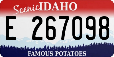 ID license plate E267098