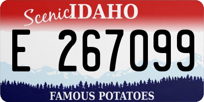 ID license plate E267099