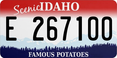 ID license plate E267100