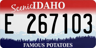 ID license plate E267103