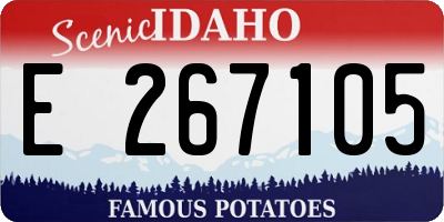 ID license plate E267105