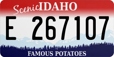 ID license plate E267107