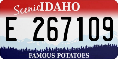 ID license plate E267109