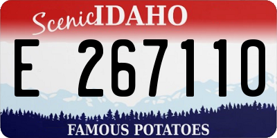ID license plate E267110