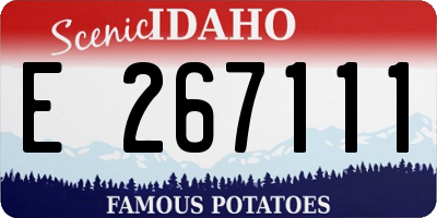 ID license plate E267111