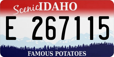 ID license plate E267115