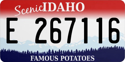 ID license plate E267116