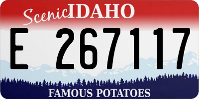 ID license plate E267117