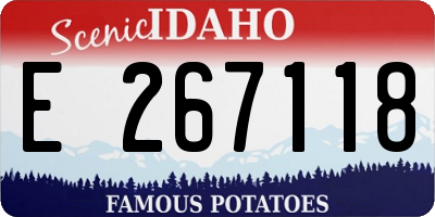 ID license plate E267118