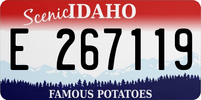 ID license plate E267119