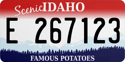 ID license plate E267123