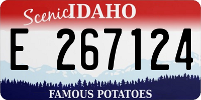 ID license plate E267124