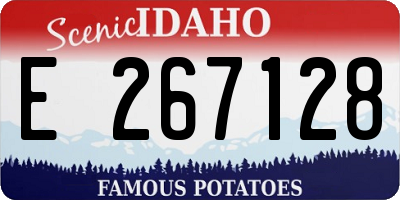 ID license plate E267128