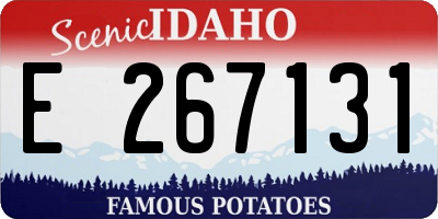 ID license plate E267131