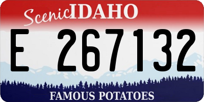 ID license plate E267132