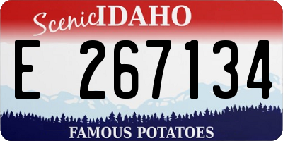 ID license plate E267134