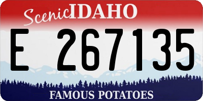 ID license plate E267135