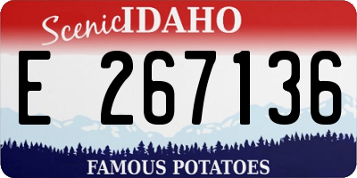 ID license plate E267136