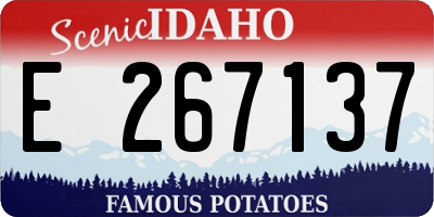 ID license plate E267137