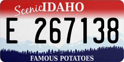 ID license plate E267138