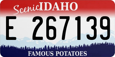 ID license plate E267139