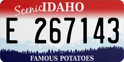 ID license plate E267143